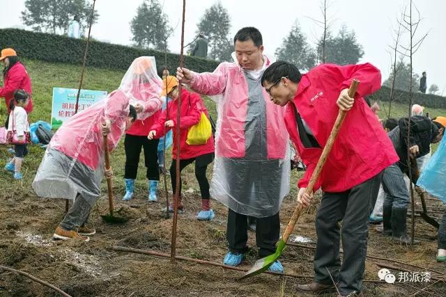 【明邦化工】3月12日牵手 “绿城飞花 美哉伦教”植树节